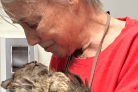 cat reunites with owner video