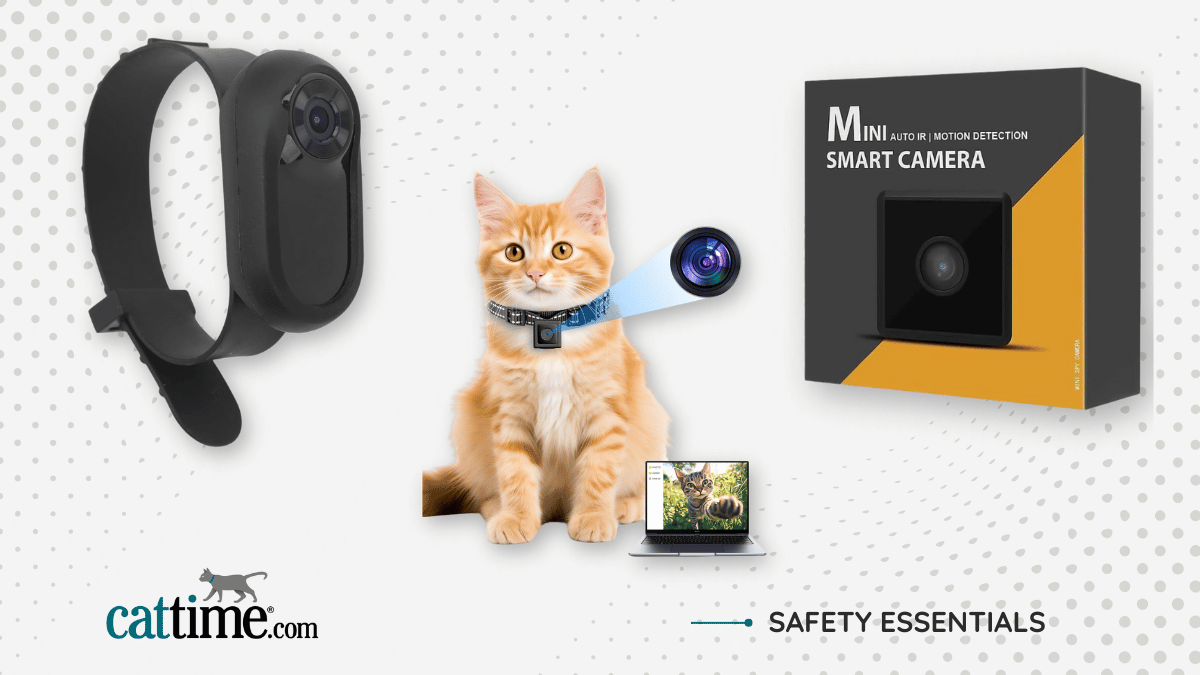 12 Best Cat Camera Collars — See the World Through Their Eyes