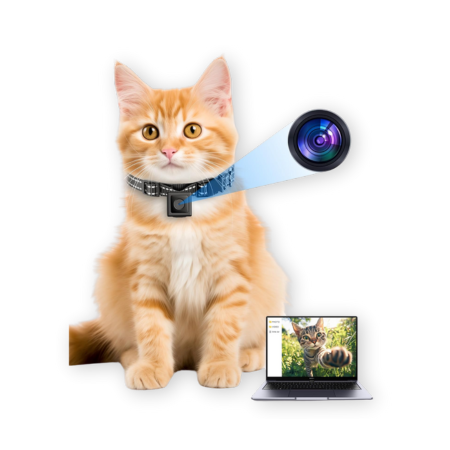 KinetCam Cat Camera Collar