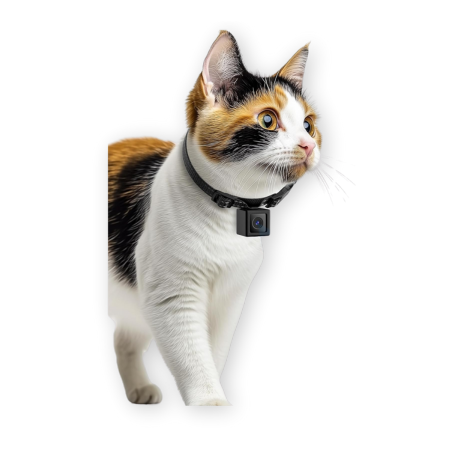 LuminiCam Cat Camera Collar
