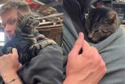 Video: Owner Puts ‘Elderly Cat’ in Baby Sling & She Cozies up Real Quick