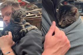 Video: Owner Puts ‘Elderly Cat’ in Baby Sling & She Cozies up Real Quick