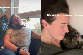 Video: This Senior Cat Is Just a ‘Modern Day Disney Princess'