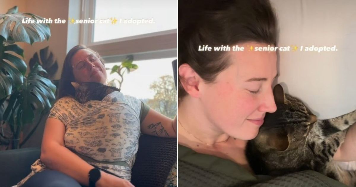 Video: This Senior Cat Is Just a ‘Modern Day Disney Princess’ – CatTime