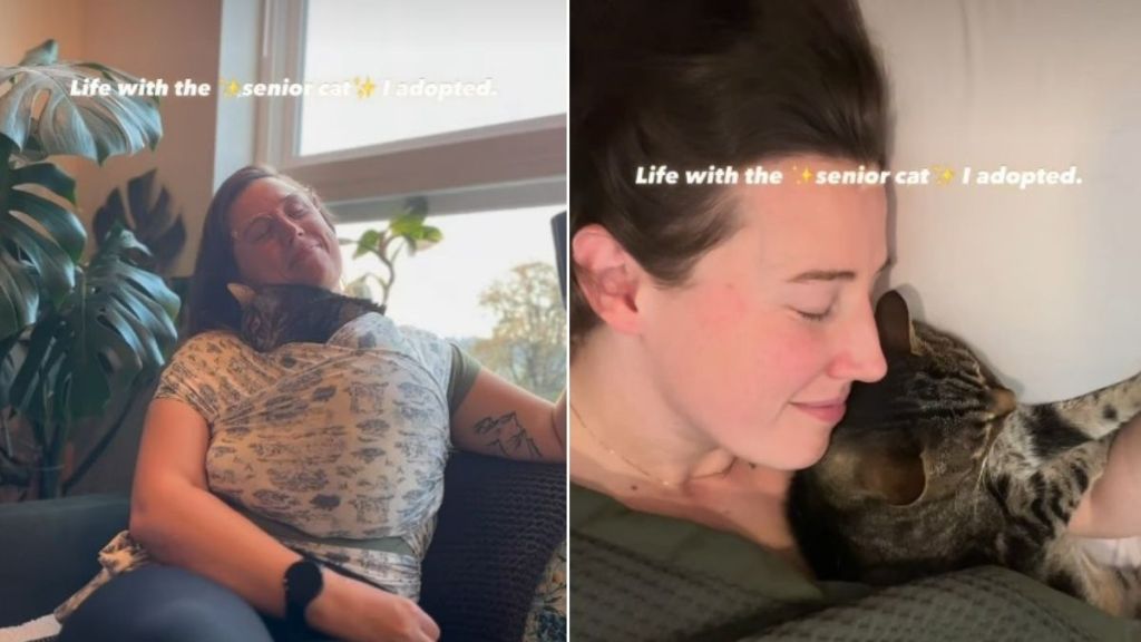 Video: This Senior Cat Is Just a ‘Modern Day Disney Princess'