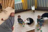 Cat & Little Baby Share the Most Gentle Bond in Adorable Video