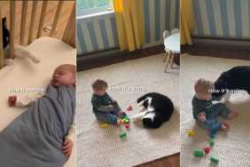 Cat & Little Baby Share the Most Gentle Bond in Adorable Video