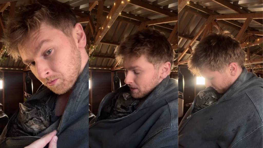 Video: ‘Elderly Cat’ Snuggles in Owner’s Jacket When Cold