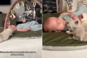 Kittens Prove Nobody’s More Gentle Around Baby in Wholesome Video
