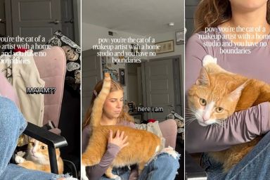 Video: Makeup Artist's Cat Has 'No Boundaries' With Customer