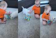 Video Shows Cat & Baby Gently Fighting Over a Toy