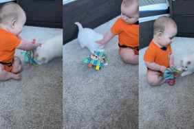 Video Shows Cat & Baby Gently Fighting Over a Toy