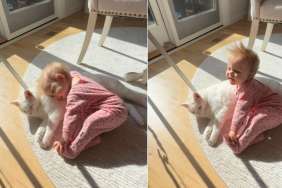 Little Girl Showers Cat With Intense Love in Heartwarming Video