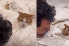 Video: Cat Does the Unthinkable After Seeing Owner Cry