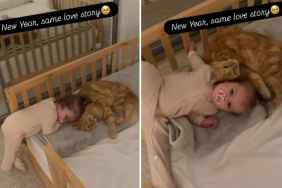 Video: Cat & Little Girl’s Love Story Carries On in the New Year