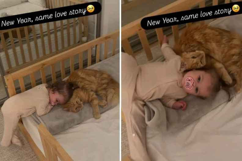 Video: Cat & Little Girl’s Love Story Carries On in the New Year