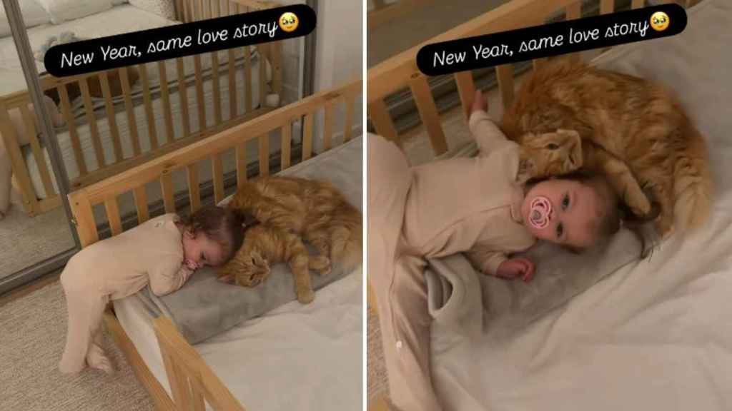 Video: Cat & Little Girl’s Love Story Carries On in the New Year