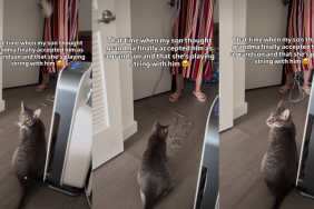 Cat Turns Grandma's Chore Time into Play Time in Adorable Video