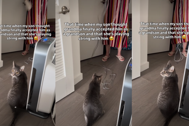 Cat Turns Grandma's Chore Time into Play Time in Adorable Video
