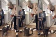 Viral Video Shows Cat Singing With Owner