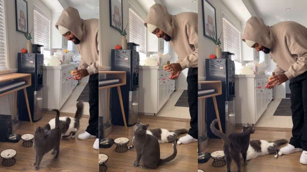 Viral Video Shows Cat Singing With Owner