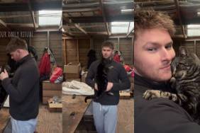 Video of Cat's Daily Ritual With Dad Melts Hearts