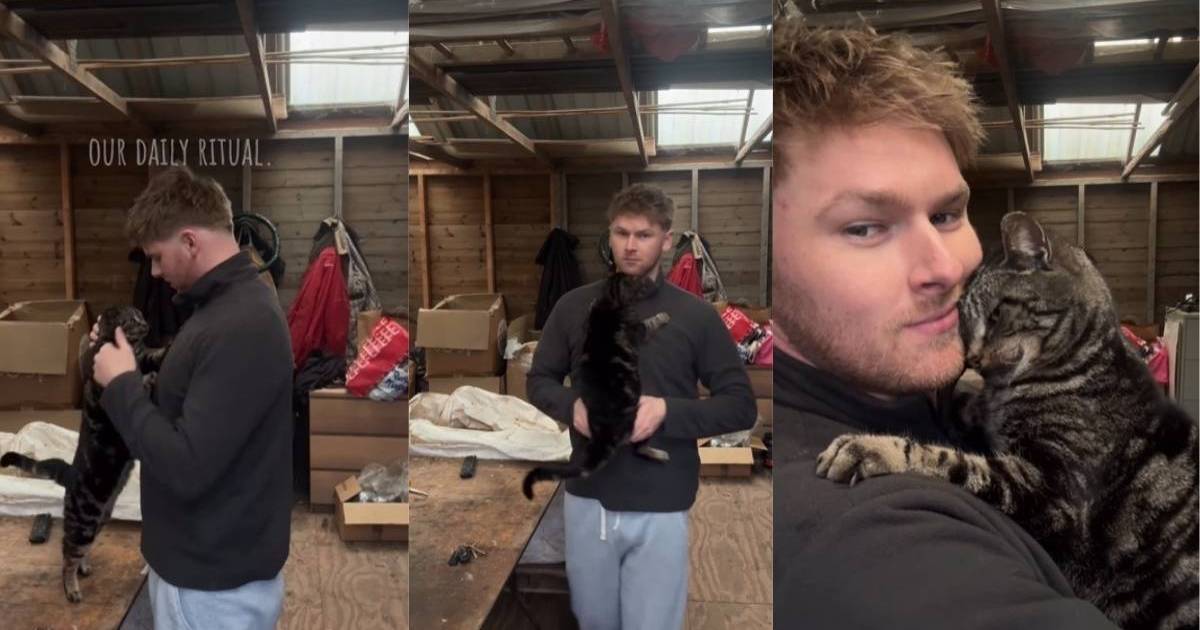 Video of Cat’s Daily Ritual With Dad Melts Hearts – CatTime