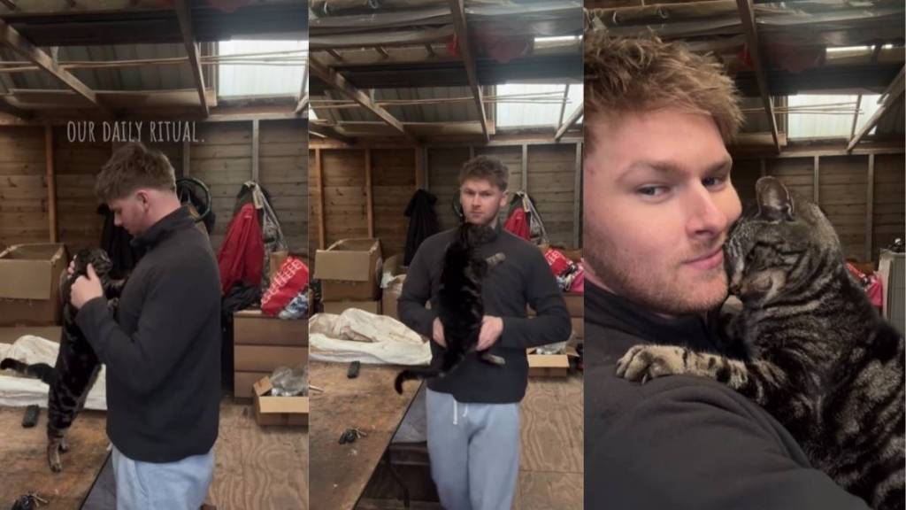 Video of Cat's Daily Ritual With Dad Melts Hearts