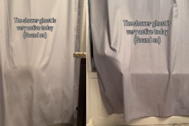 Cat Turns Into 'Shower Ghost' in Funny Video