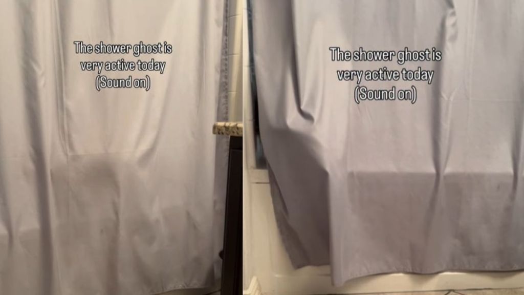 Cat Turns Into 'Shower Ghost' in Funny Video