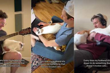 Cats Find a Way To Involve Themselves in Everything Dad Does