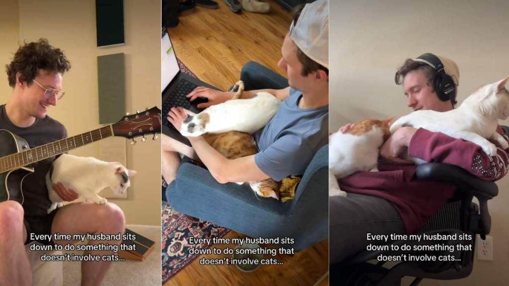 Cats Find a Way To Involve Themselves in Everything Dad Does