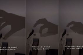 Video: Cat Plays with Owner's Hand Shadow Hitting the Wall