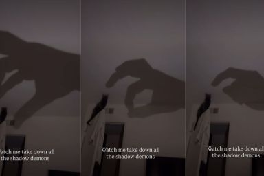 Video: Cat Plays with Owner's Hand Shadow Hitting the Wall