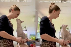 Clingy Cat Won’t Give Mom Personal Space — Even in the Kitchen