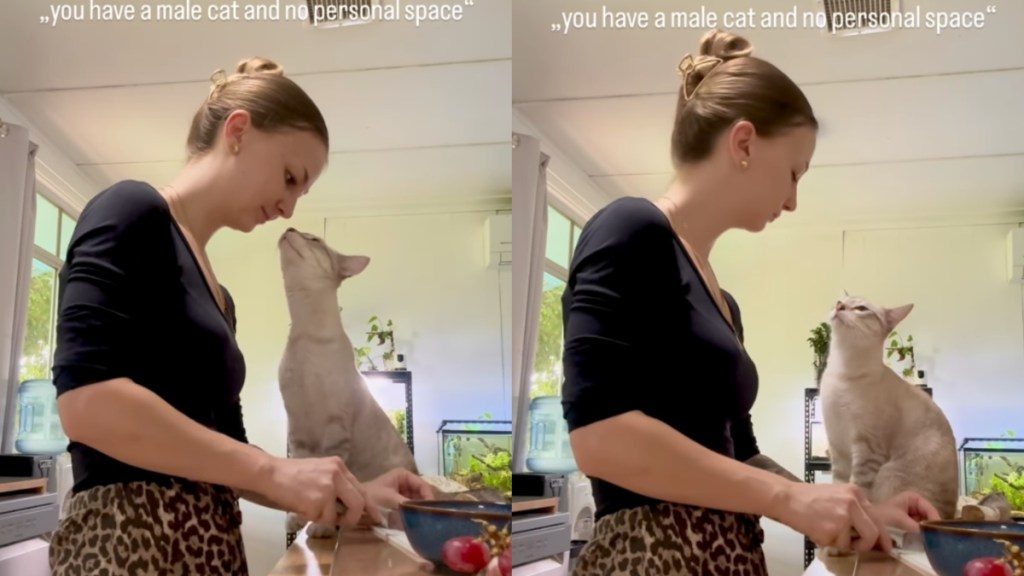 Clingy Cat Won’t Give Mom Personal Space — Even in the Kitchen