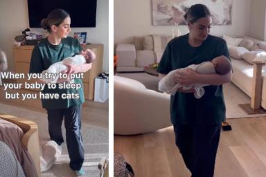 Cats Occupy All Beds When Mom Wants to Put Newborn Baby to Sleep