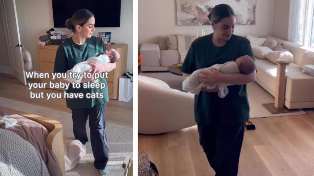 Cats Occupy All Beds When Mom Wants to Put Newborn Baby to Sleep