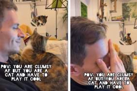 Clumsy Cat Acts Cool After Falling on Piano