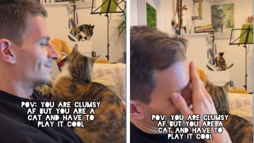 Clumsy Cat Acts Cool After Falling on Piano