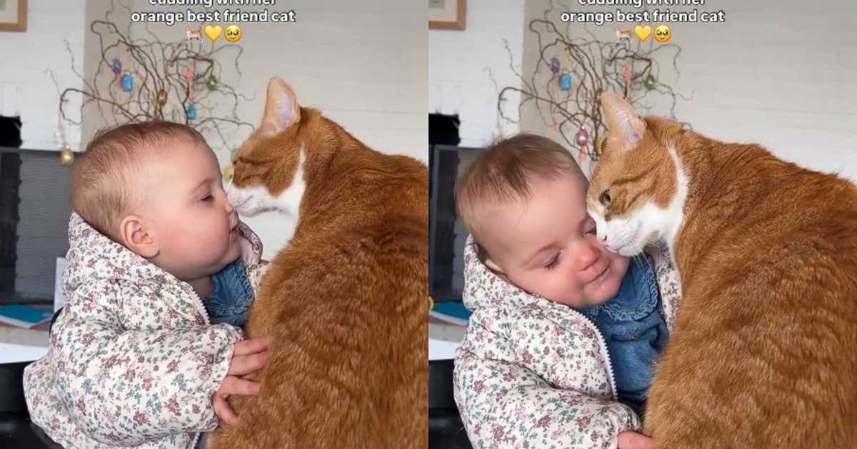 Cat Adorably Cuddles & Showers Baby With Love – CatTime