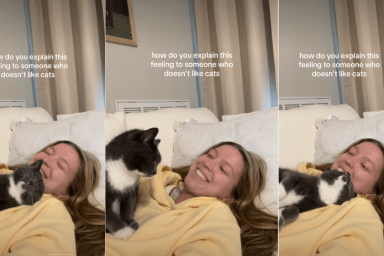 Cat Melting Into Owner for Cuddle Captures Hearts