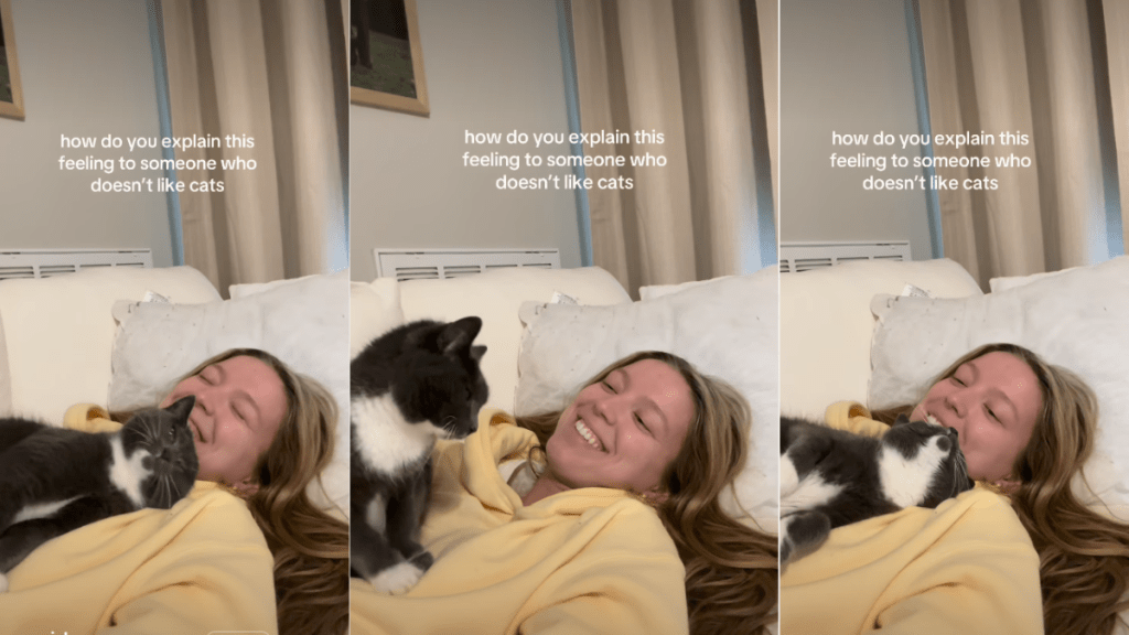 Cat Melting Into Owner for Cuddle Captures Hearts