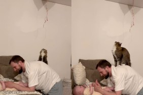 Cat Gets on Owner’s Back To Retrieve Balloon