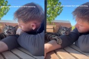 Cat Takes Break From Bird-Watching by Cuddling Owner