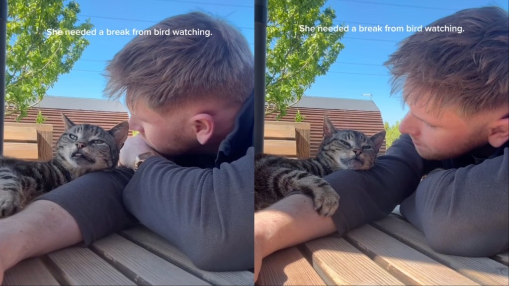 Cat Takes Break From Bird-Watching by Cuddling Owner