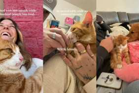 Cat Walks up to a Family on the Street Wanting Love & Isn’t Left Behind