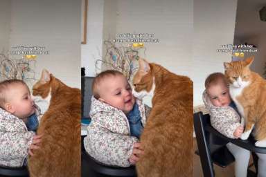 Orange Cat Cuddling With Baby Has Internet Thinking They’re Soulmates