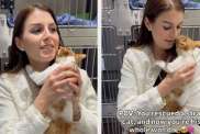Stray Cat Refuses To Leave Human Who Rescued Him