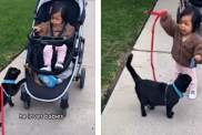 Cat Turns Toddler Into an Official 'Future Cat Lady'